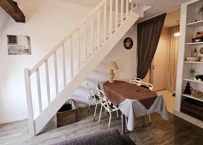 Apartment Batiment Historique Le Long Du Canal Du Thiou - Historic Building Along Thiou Canal