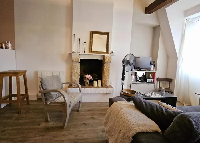 Batiment Historique Le Long Du Canal Du Thiou - Historic Building Along Thiou Canal Apartment *